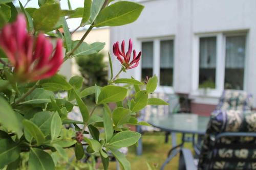 Neubukow House | M9 Ferienwohnung mit Balkon am Waldrand im Ostseeland