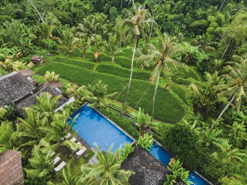 Payangan Resort | Maar Resort Ubud by Ini Vie Hospitality
