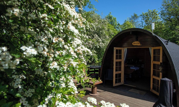 Dunfermline Cabin | Macallan, Off-Grid Cabin in Woods: Macallan. Pet Friendly!