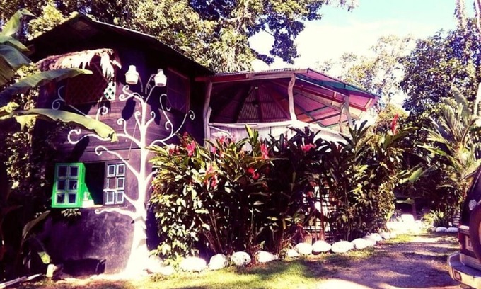 Cocles Hotel | Madre Selva Jungle Hostel