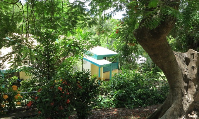 Arcadia Apartment | Magnetic Reef 3 - Relaxing tropical getaway with lush gardens and complex pool, minutes to Alma Bay
