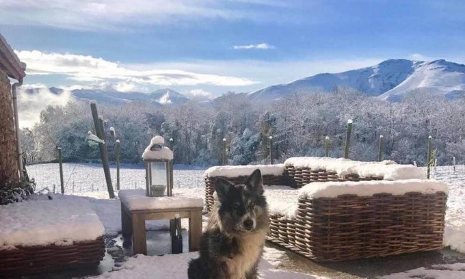 Irouleguy Bed & Breakfast | Maison chulubitenia