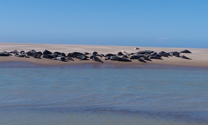 Les Hemmes de Marck House | Maison de Campagne à 10 Minutes à Pied de la Plage