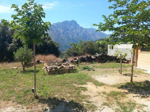 Olmi Cappella House | maison de vacances olmi cappella Corse