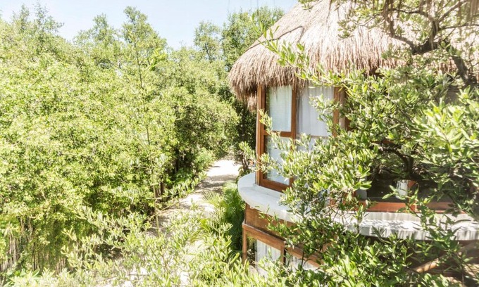 Zona Hotelera Hotel | Mamasan Treehouses & Cabins