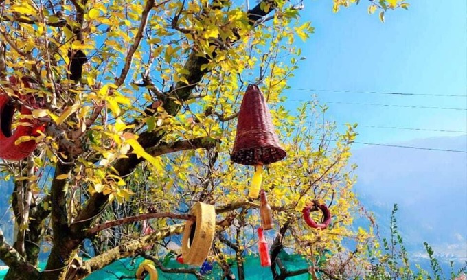 Simsa Village Villa | Manali Heart Villa