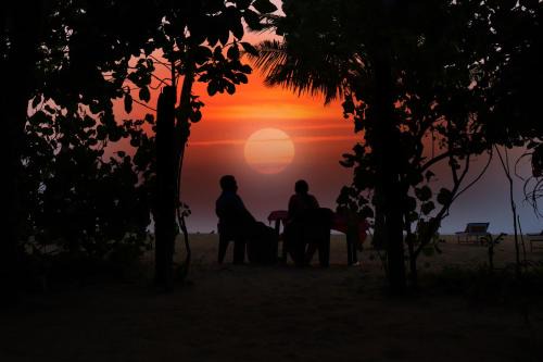 Mararikulam House | Marari Eclipse Homestays