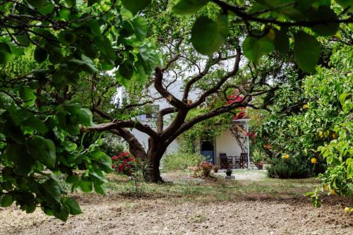 Eggares House | Margouno Eco Cottage