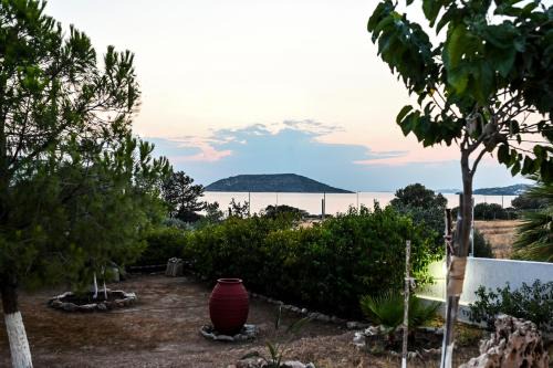 Thymari House | Marina's dream house