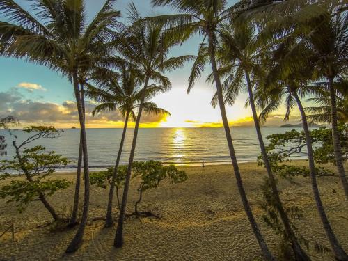Palm Cove Apartment | Marlin Waters Beachfront Apartments