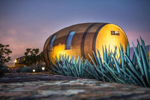 Tequila Hotel | Matices Hotel de Barricas