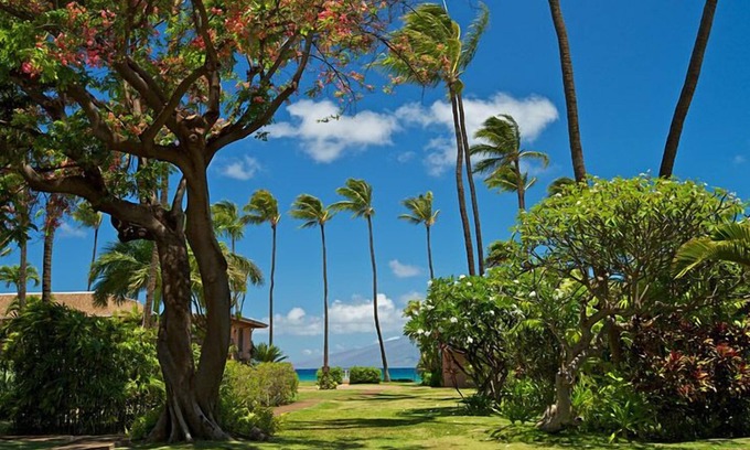 Honokowai Condo | Maui Sands #6e 1 Bedroom Condo by RedAwning