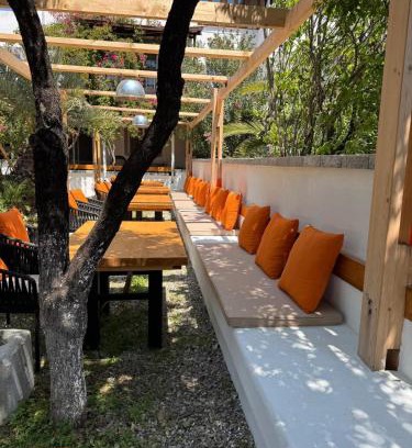 Palamutbuku Bed & Breakfast | Mavi Lotus Pansiyon