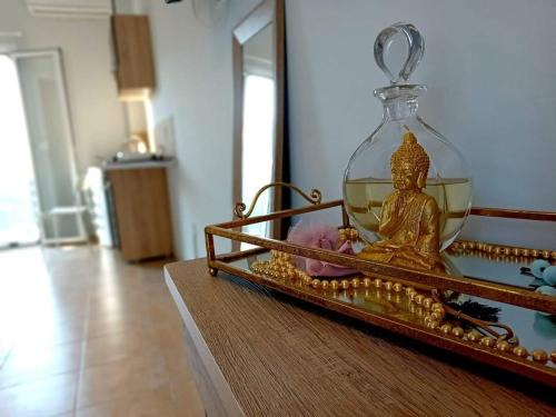 Angon Apartment | Menia