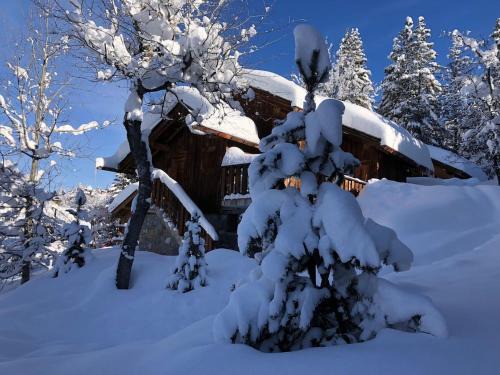 Meribel Ski Chalet | Meribel Altitude1600 chalet 6 personnes en pleine nature au milieu des pistes