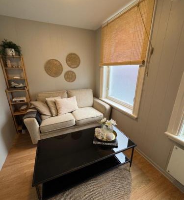 Trondheim City Centre Apartment | Midt i byen
