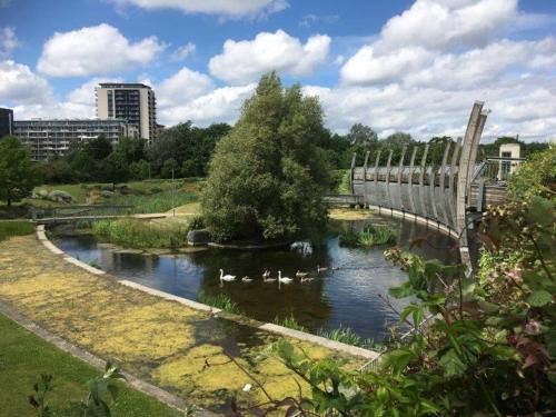 Tower Hamlets House | Mile End Suites