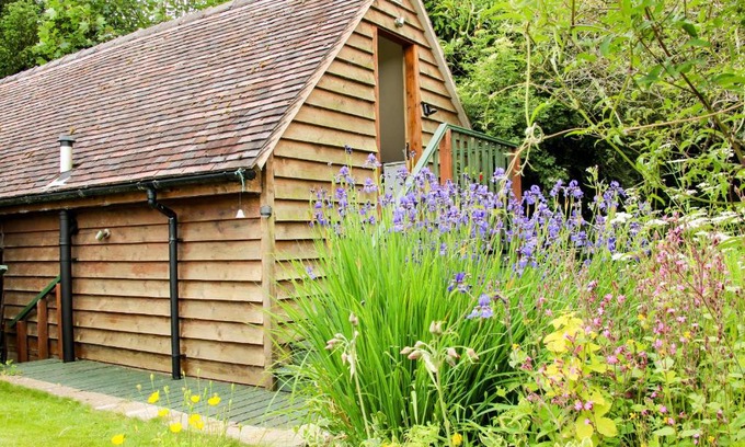 Munslow House | Milford Tree Tops