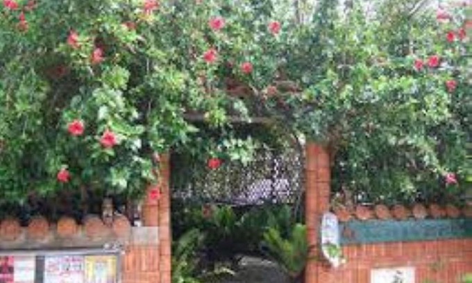Kohagura House | Minshuku Itoman Garigari Oshiro - Vacation STAY 25712v