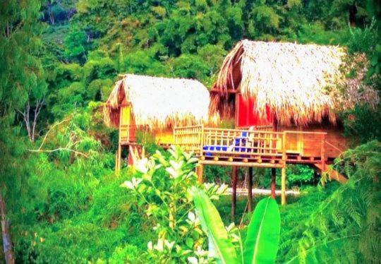 Papare House | Miradores Del Oso Perezoso