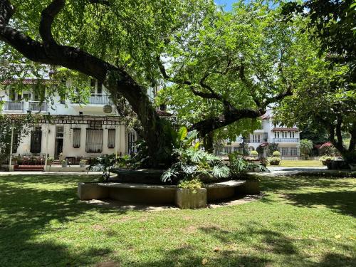 Bagong Lipunan Ng Crame Apartment | MiraNamin Nest LIRYO and LANTANA Residence in Unique Historic Home - Garden, Rooftop, Private Kitchen