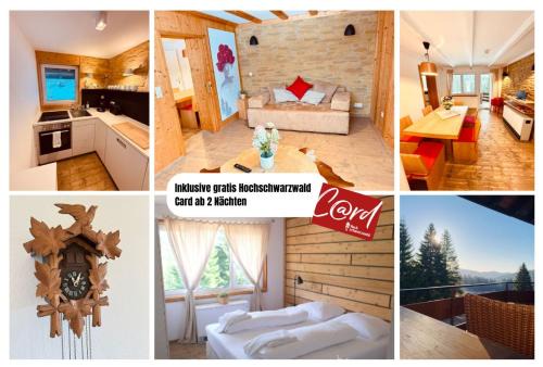Feldberg Apartment | Mitten auf dem Feldberg Panorama Apartment Bergglück