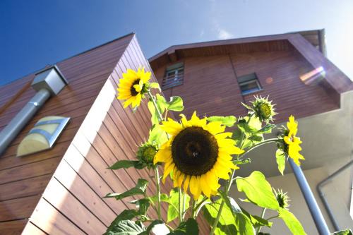 Schenna Apartment | mittendorf klimaresidence