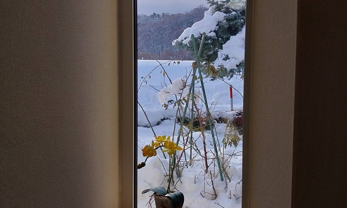 Furano House | Miyuki Townhouse