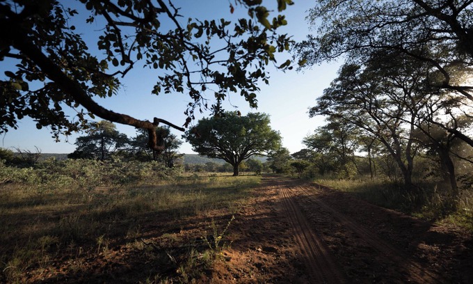 Mookgopong House | Mmakuba Private Game Lodge, Two Bedroom Villa 2