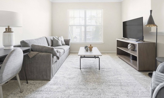Mint Hill Apartment | Modern Apartment in Prime Location (ID1228X684)