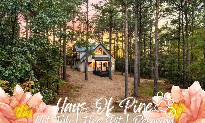 Pickens Cabin | Modern Cabin with Hot Tub & Fire Pit