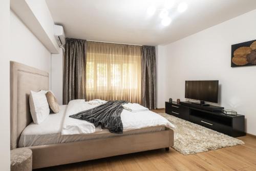 Aviatiei Apartment | Modern & Cozy Studio - Near Herastrau Park