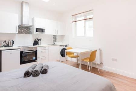 Somers Town Apartment | Modern Studio Flat- Camden Town King's Cross Zone 1