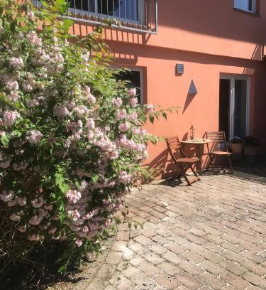 Gallin Apartment | Moderne großzügige Souterrainwohnung Zarrentin Gallin Schaalsee Natur Wald Wasser