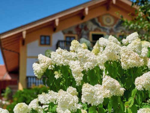 Gstadt Apartment | Moierhof