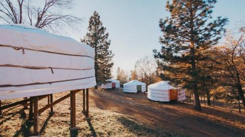 Dunlap House | Mongolian yurt at a nature retreat