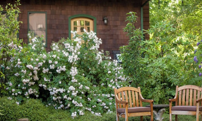 Garden Home-Whitford Cottage | Mossy Cobbles: Romantic Cottage in a Wooded Setting