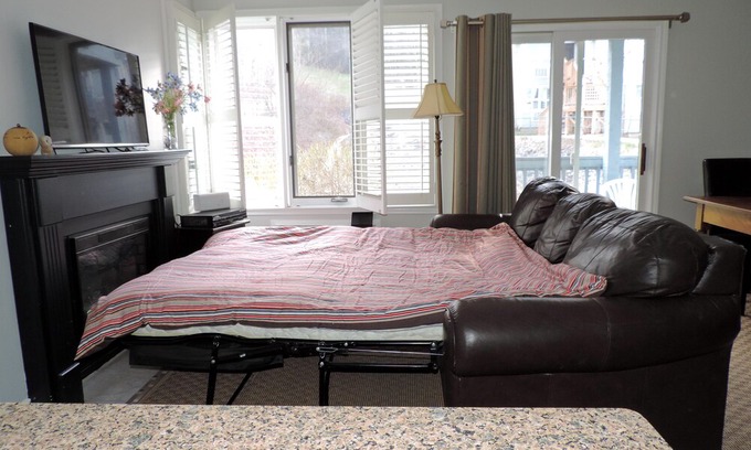 Craigleith Condo | Mountain and Pond-side, one bedroom, pet friendly