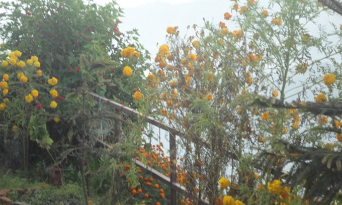 Sarangkot Hotel | Mountain View Lodge