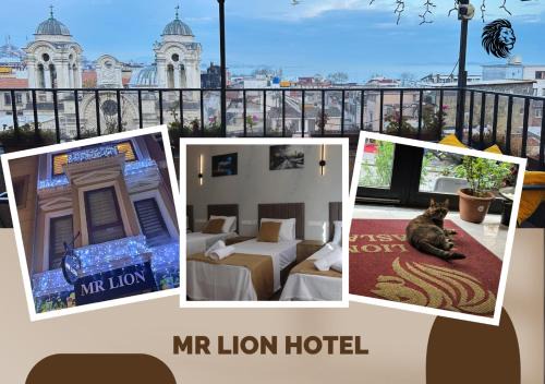 Kumkapi Hotel | Mr Lion Kumkapı Otel