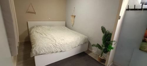 Santiago de la Ribera House | Muy bien