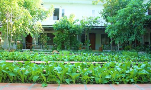 Kampot House | My Parents Guesthouse