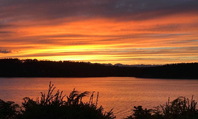 Burley House | Nature Awaits on Harstine Island!