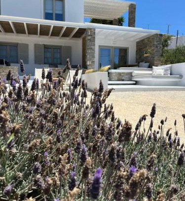 Parasporos Apartment | Neso seafront studio Paros