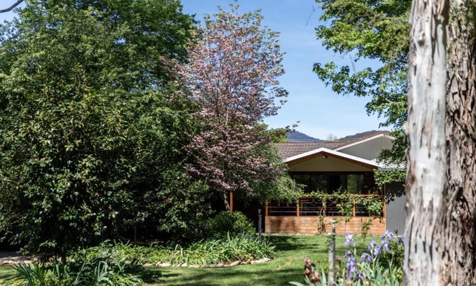 Bright House | Nest House Bright