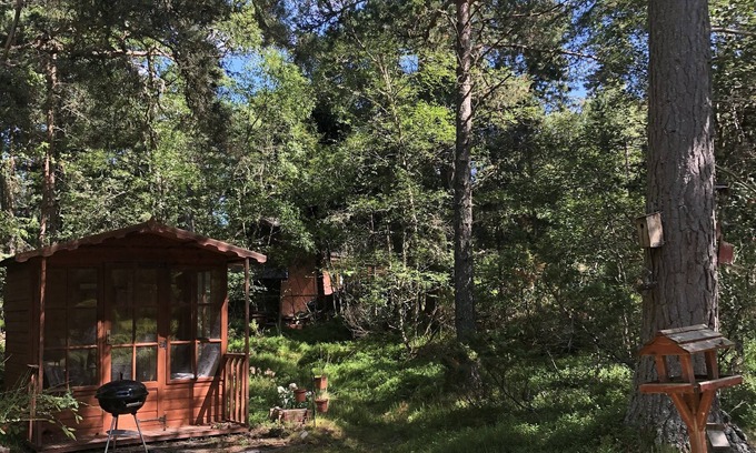 Nethy Bridge House | Nethy Bridge