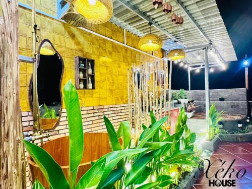 Ben Tre Apartment | Nhà có sân thượng cây xanh view đẹp không gian yên tĩnh