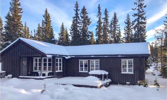 Sjusjoen House | Nice Home In Sjusjøen With Wifi