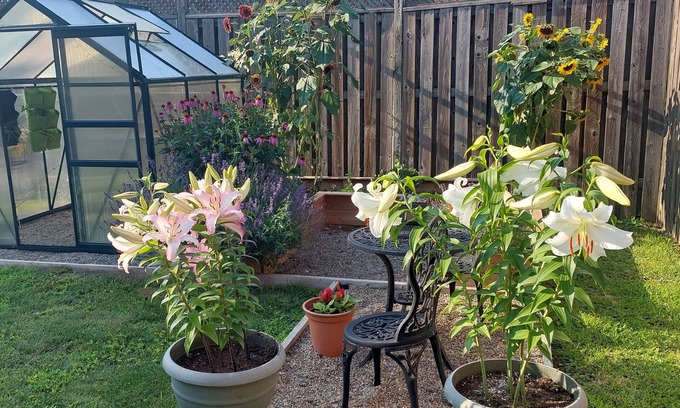 Leamington House | Nicklin House