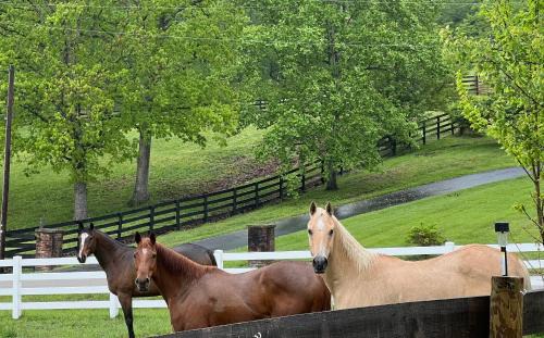 Berea House | Nicura Ranch Inn & Stables